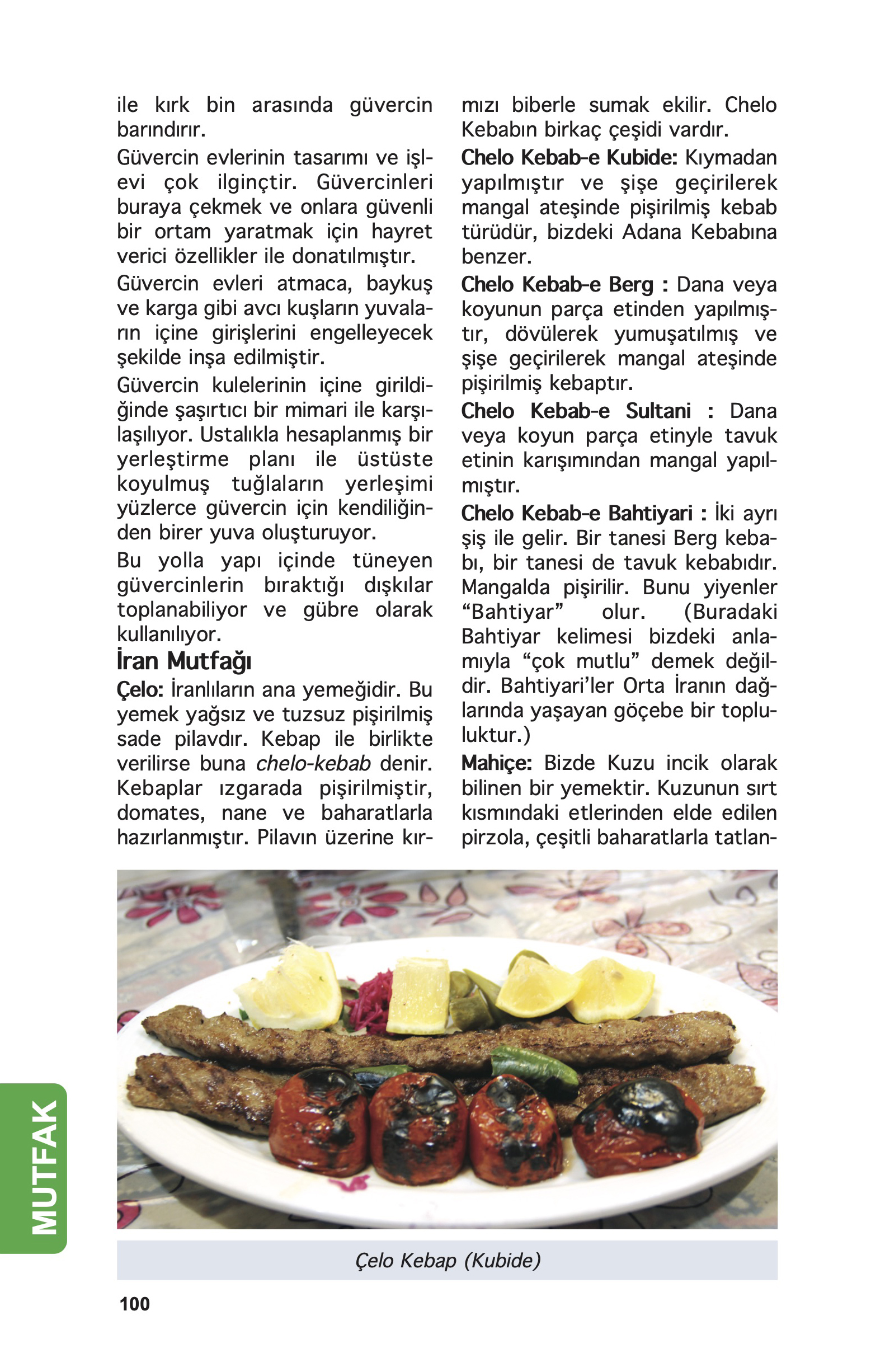 İran Gezi Rehberi 7 100