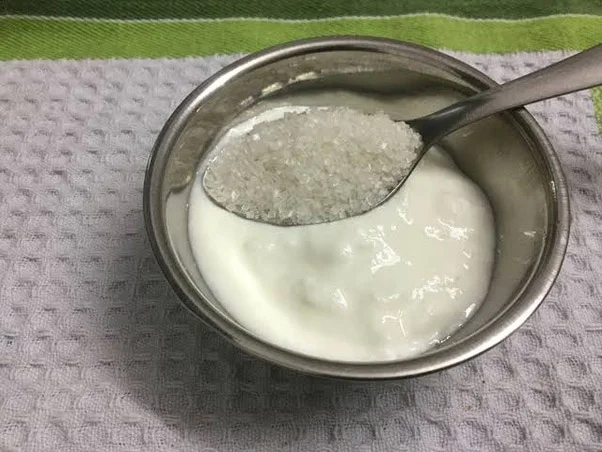 yoğurt
