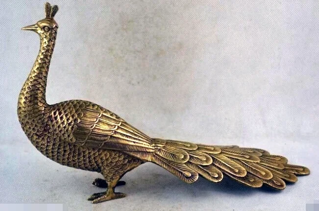 Altın tavus
