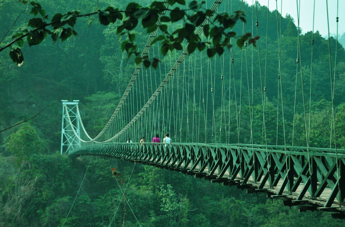 Darjeeling köprü