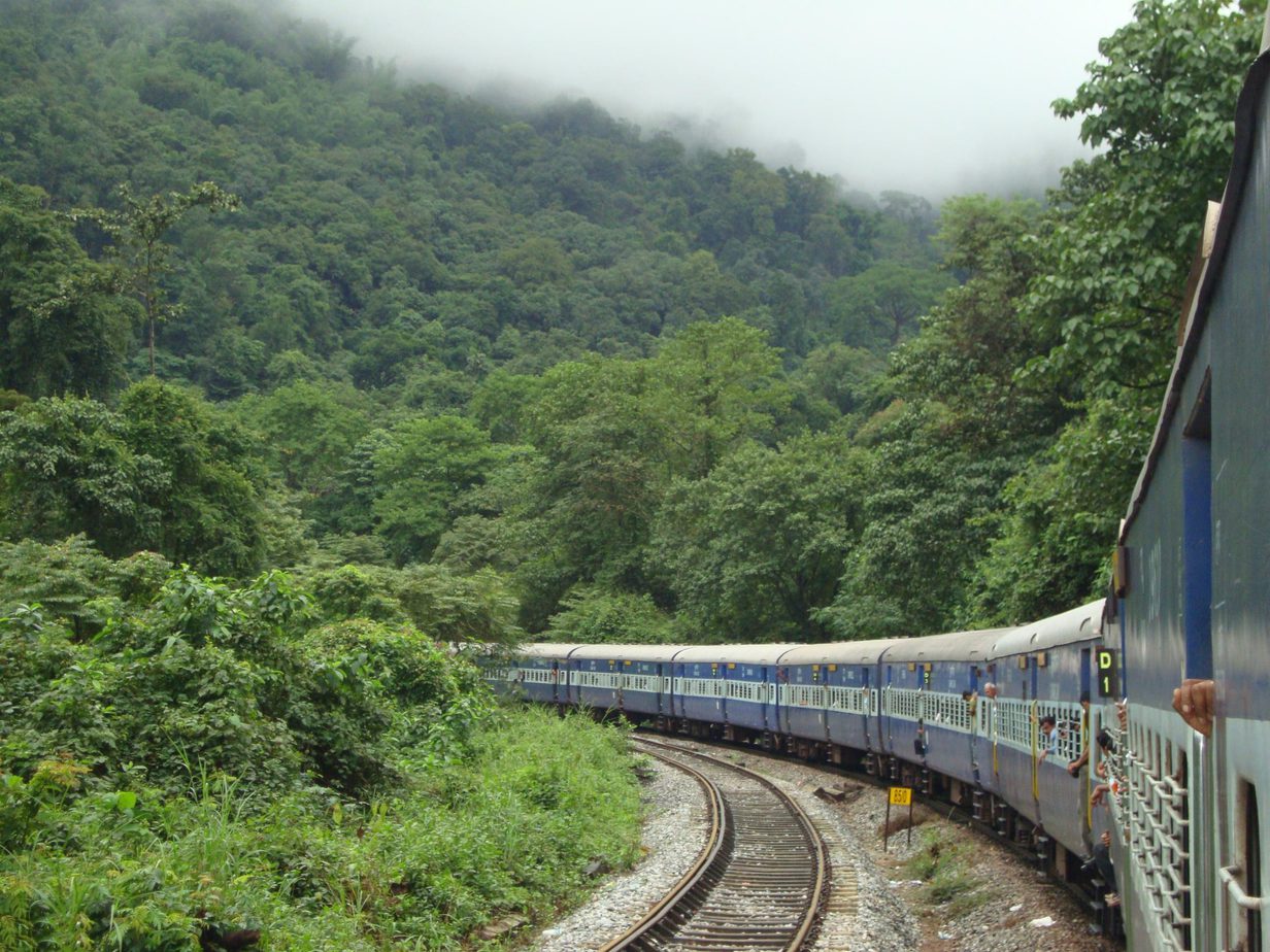 En Güzel Tren Yolculukları 14 Malnad ormanı