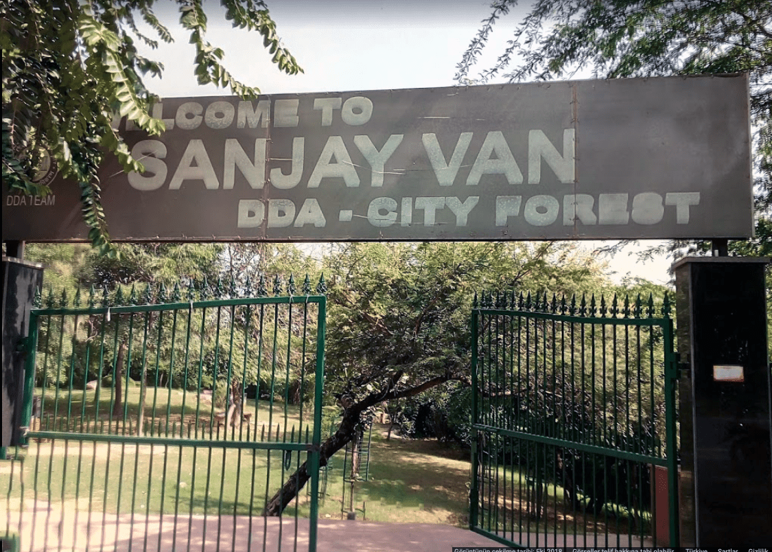 Sanjay Van ormanı