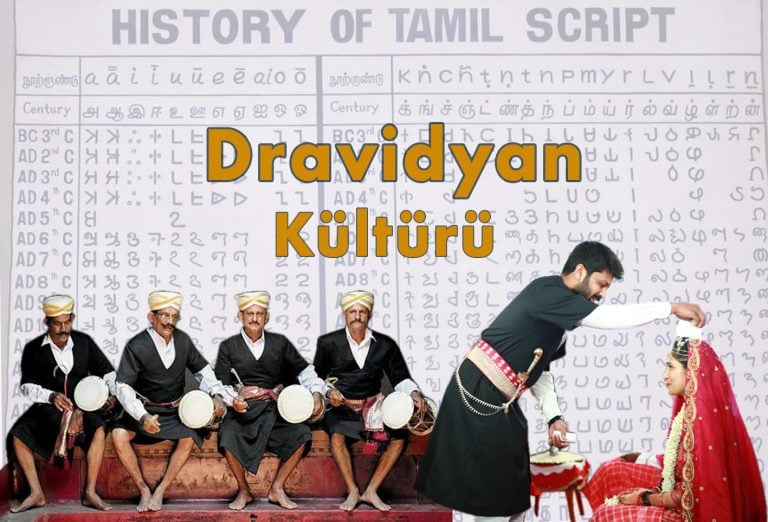 Dravidyan kültürü
