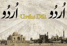 Urdu Dili