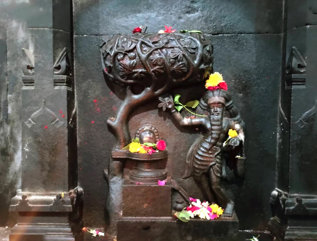 Panchavarna Swami Tapınağı 5 panchavarna brahma